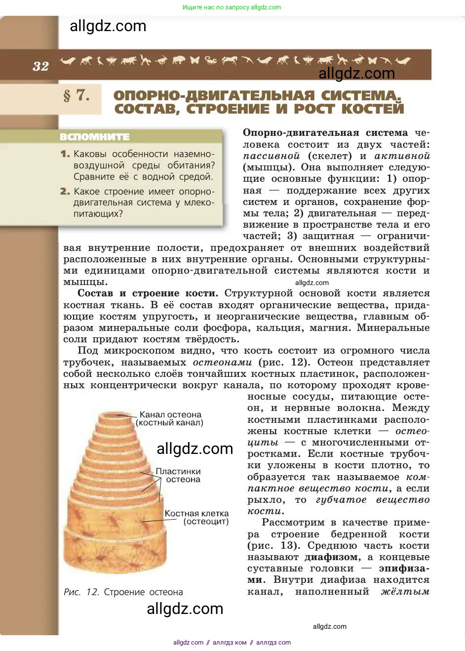 Биология, 8 класс Учебник, авторы: Пасечник Владимир Васильевич, Каменский Андрей Александрович, Швецов Глеб Геннадьевич, издательство Просвещение, Москва, 2019, страница 32