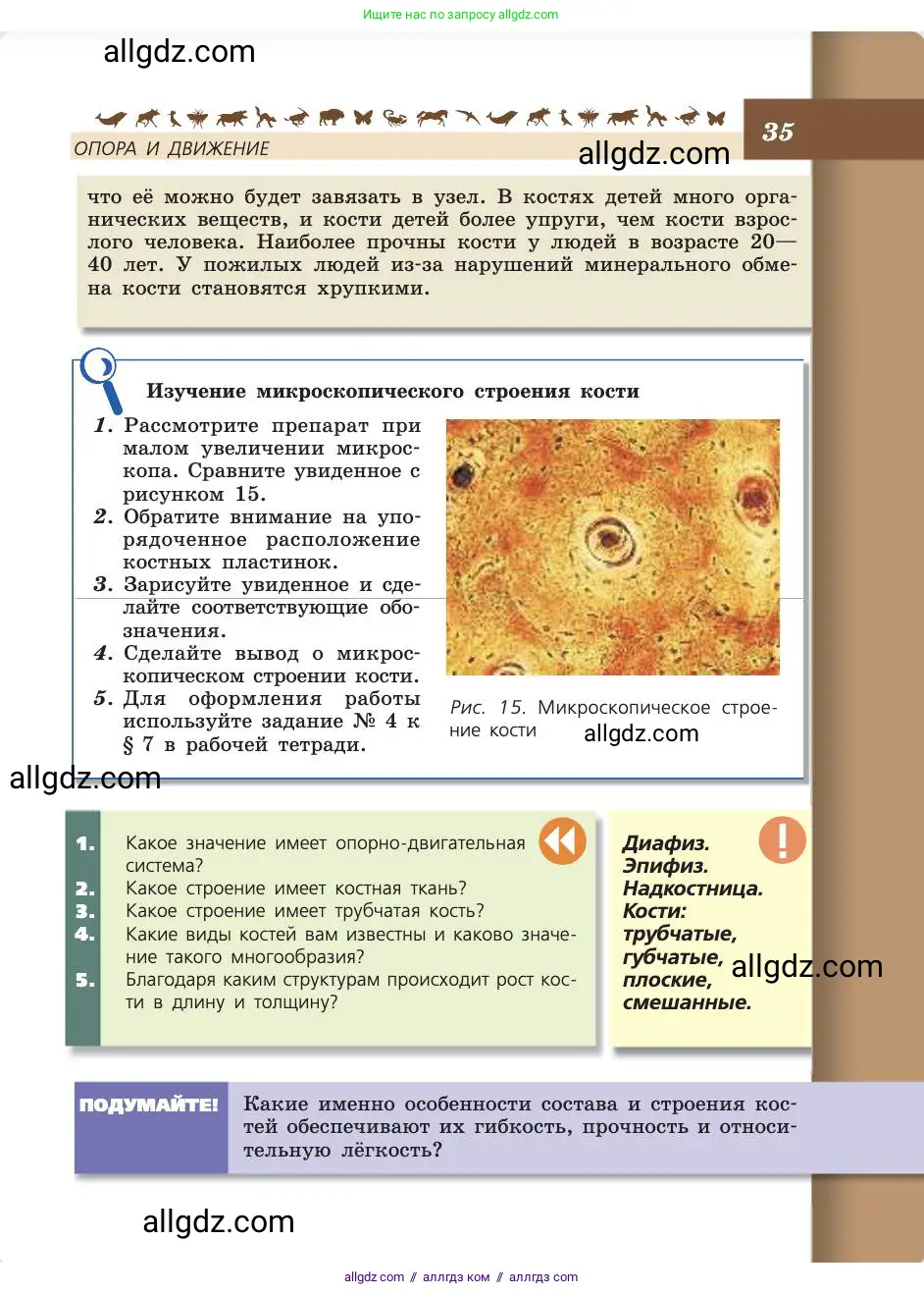 Биология, 8 класс Учебник, авторы: Пасечник Владимир Васильевич, Каменский Андрей Александрович, Швецов Глеб Геннадьевич, издательство Просвещение, Москва, 2019, страница 35