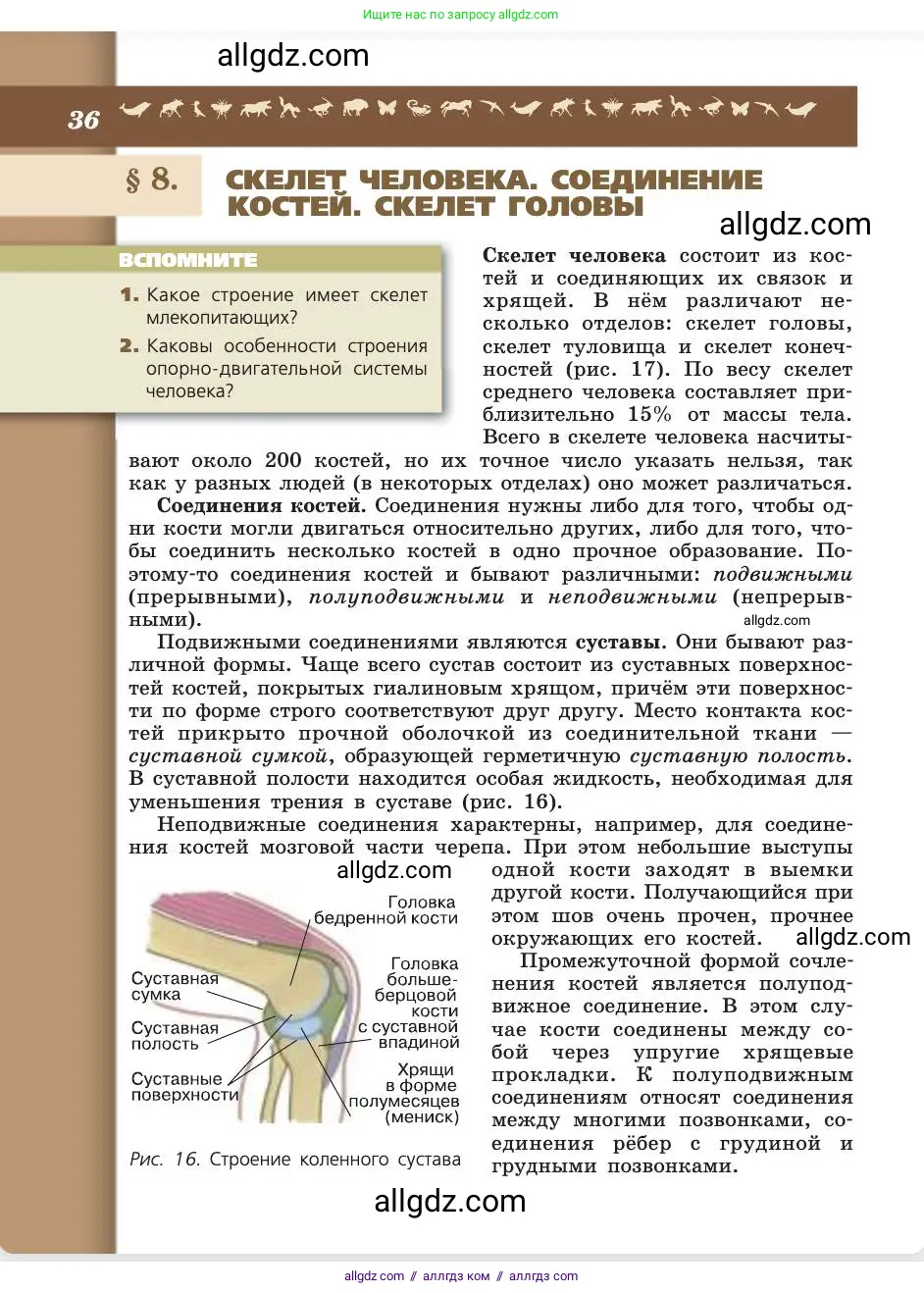 Биология, 8 класс Учебник, авторы: Пасечник Владимир Васильевич, Каменский Андрей Александрович, Швецов Глеб Геннадьевич, издательство Просвещение, Москва, 2019, страница 36