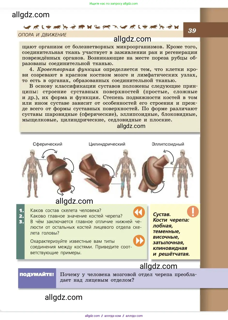 Биология, 8 класс Учебник, авторы: Пасечник Владимир Васильевич, Каменский Андрей Александрович, Швецов Глеб Геннадьевич, издательство Просвещение, Москва, 2019, страница 39