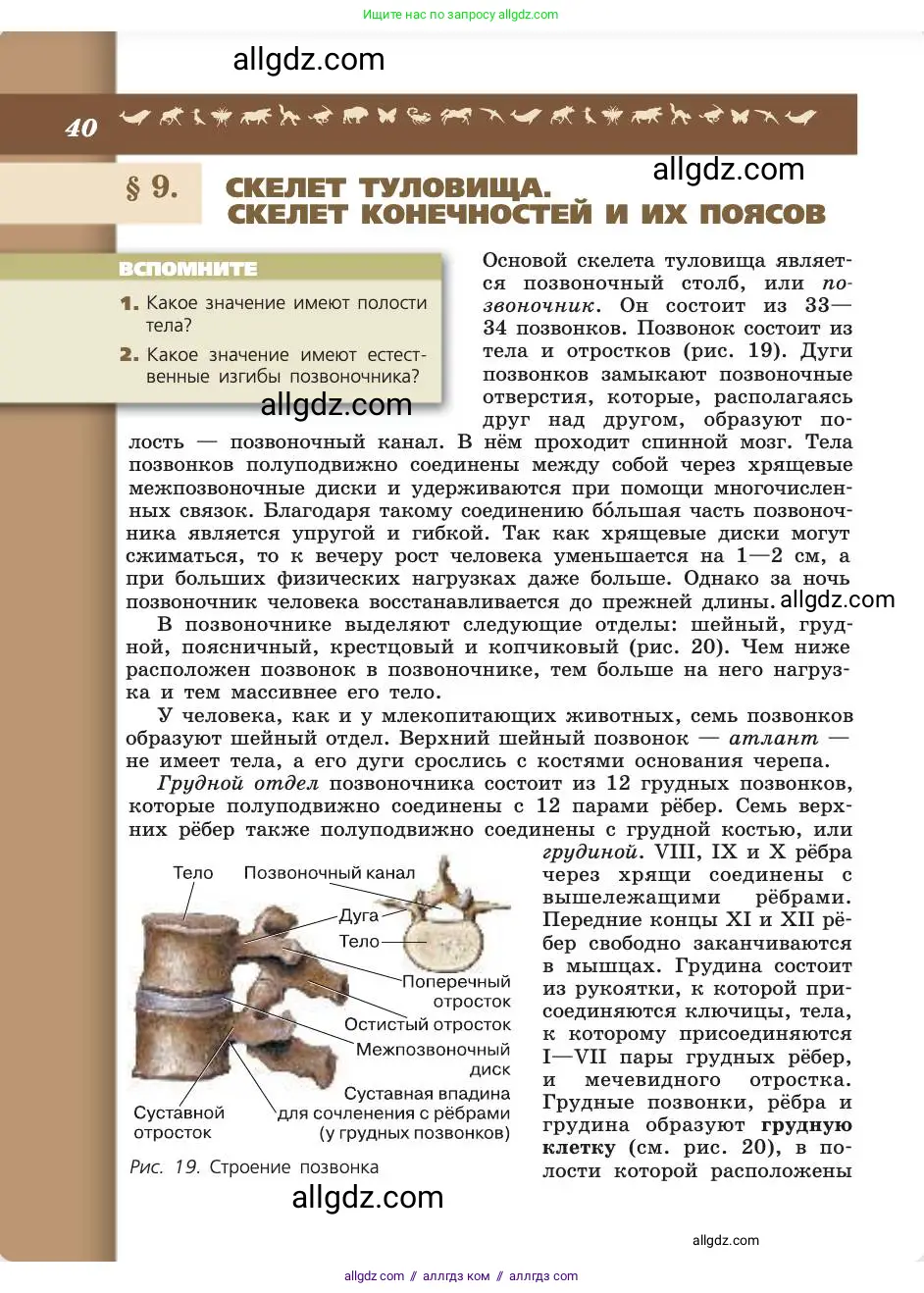 Биология, 8 класс Учебник, авторы: Пасечник Владимир Васильевич, Каменский Андрей Александрович, Швецов Глеб Геннадьевич, издательство Просвещение, Москва, 2019, страница 40
