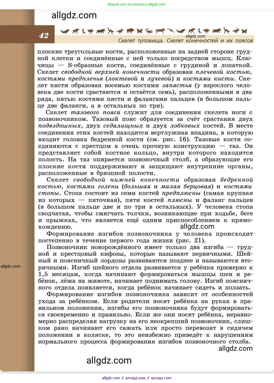 Биология, 8 класс Учебник, авторы: Пасечник Владимир Васильевич, Каменский Андрей Александрович, Швецов Глеб Геннадьевич, издательство Просвещение, Москва, 2019, страница 42