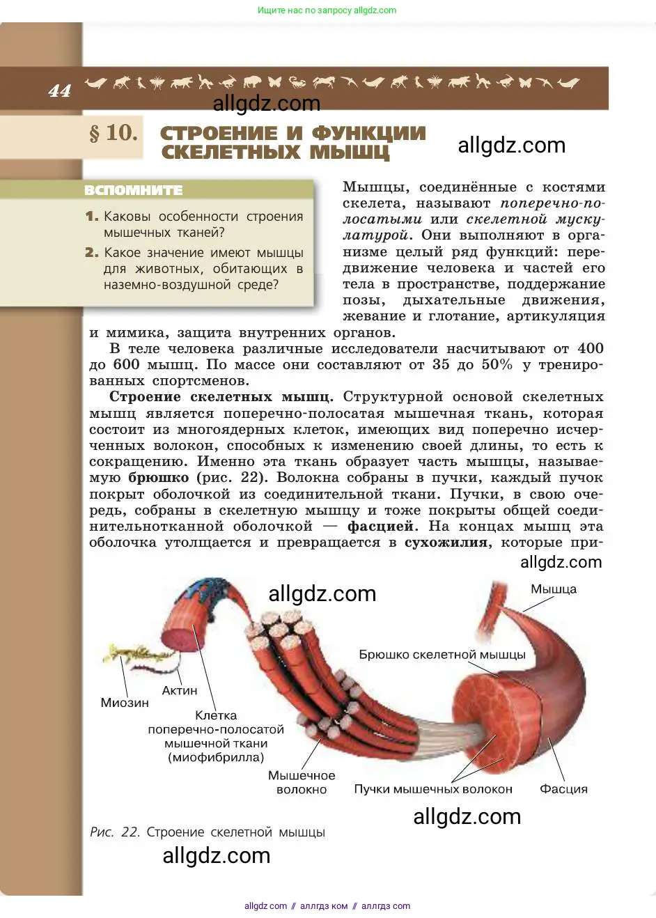 Биология, 8 класс Учебник, авторы: Пасечник Владимир Васильевич, Каменский Андрей Александрович, Швецов Глеб Геннадьевич, издательство Просвещение, Москва, 2019, страница 44