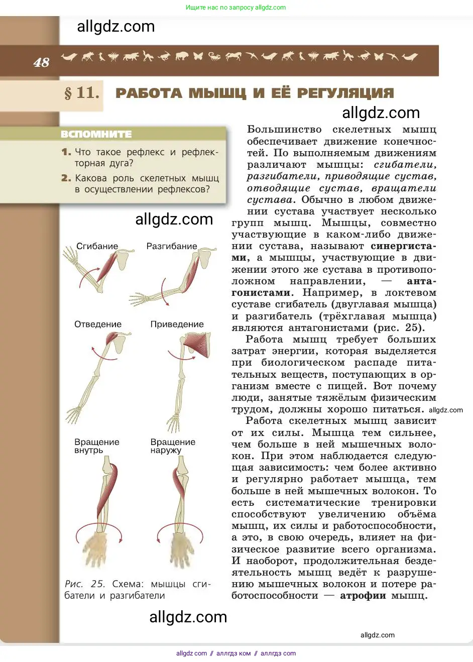 Биология, 8 класс Учебник, авторы: Пасечник Владимир Васильевич, Каменский Андрей Александрович, Швецов Глеб Геннадьевич, издательство Просвещение, Москва, 2019, страница 48