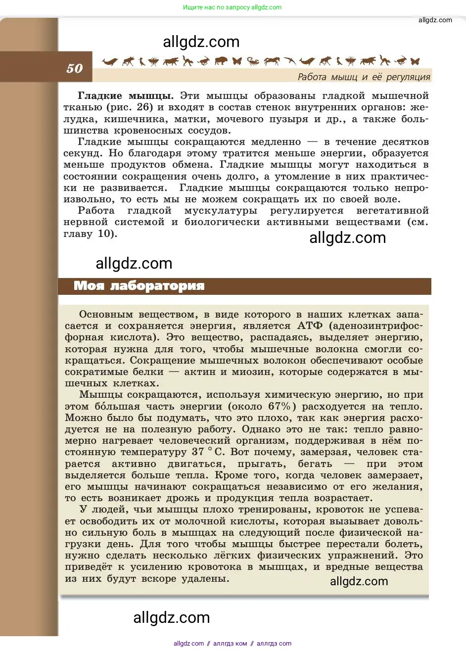 Биология, 8 класс Учебник, авторы: Пасечник Владимир Васильевич, Каменский Андрей Александрович, Швецов Глеб Геннадьевич, издательство Просвещение, Москва, 2019, страница 50
