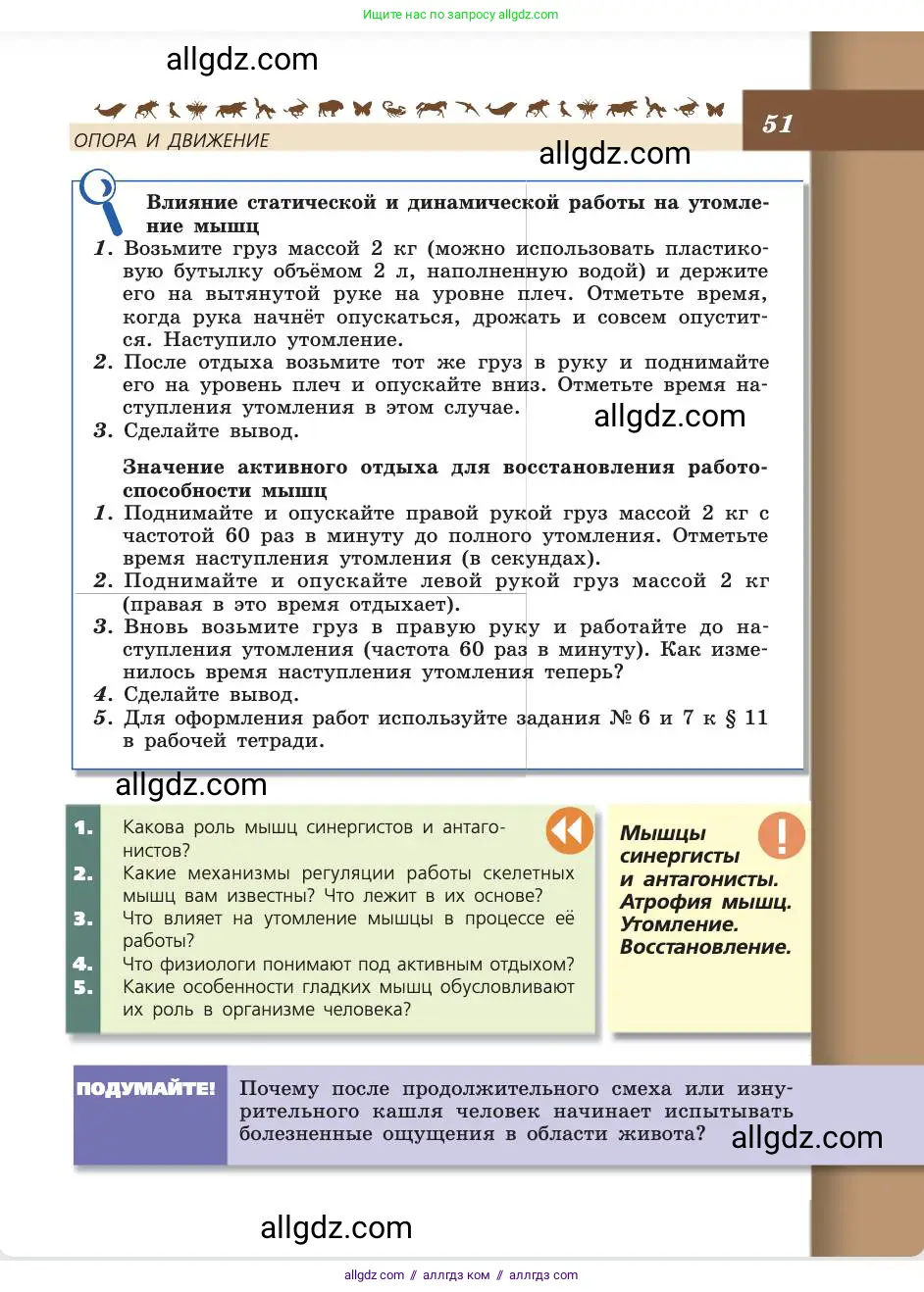 Биология, 8 класс Учебник, авторы: Пасечник Владимир Васильевич, Каменский Андрей Александрович, Швецов Глеб Геннадьевич, издательство Просвещение, Москва, 2019, страница 51