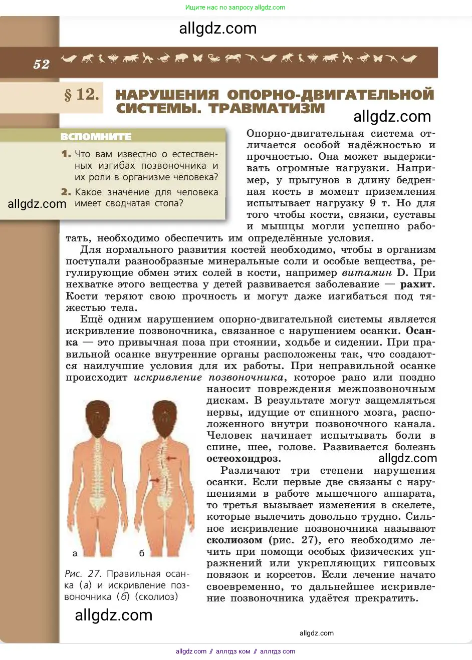 Биология, 8 класс Учебник, авторы: Пасечник Владимир Васильевич, Каменский Андрей Александрович, Швецов Глеб Геннадьевич, издательство Просвещение, Москва, 2019, страница 52