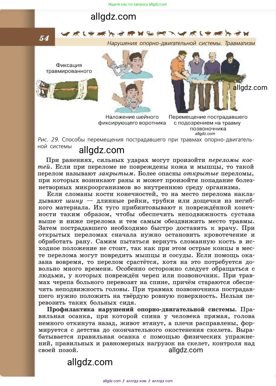 Биология, 8 класс Учебник, авторы: Пасечник Владимир Васильевич, Каменский Андрей Александрович, Швецов Глеб Геннадьевич, издательство Просвещение, Москва, 2019, страница 54
