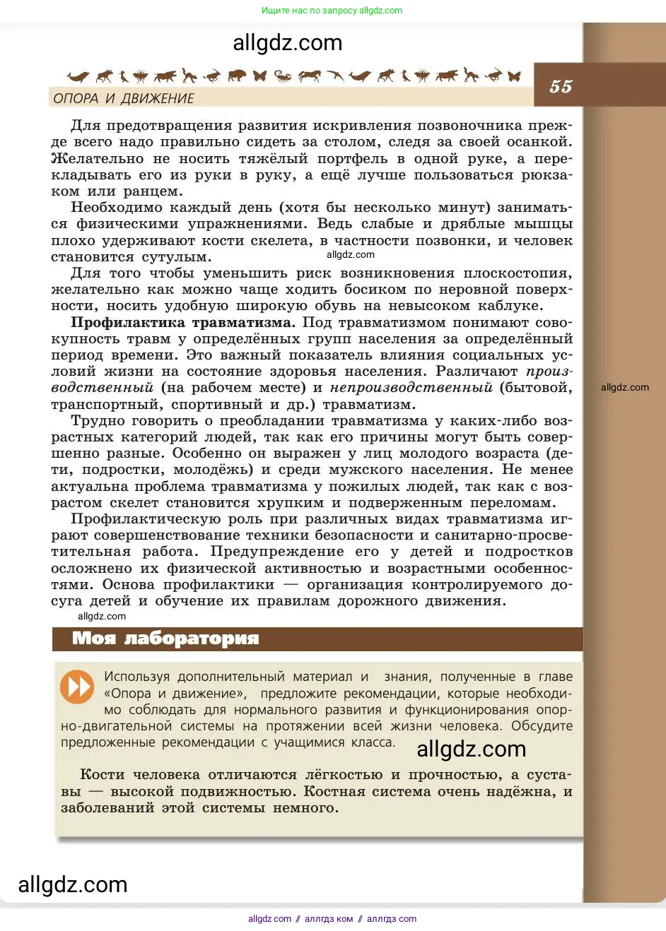 Биология, 8 класс Учебник, авторы: Пасечник Владимир Васильевич, Каменский Андрей Александрович, Швецов Глеб Геннадьевич, издательство Просвещение, Москва, 2019, страница 55