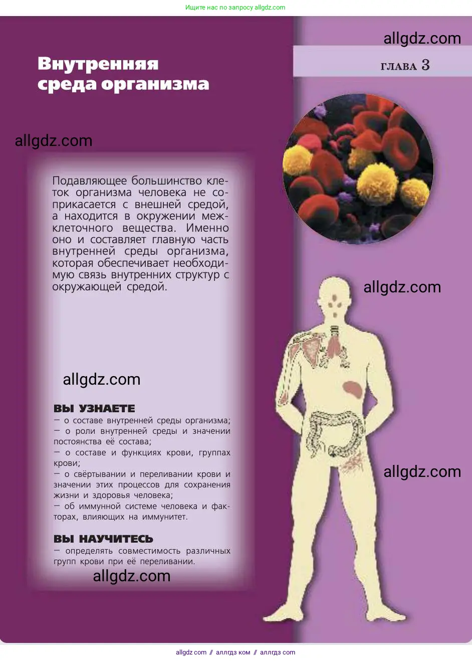 Биология, 8 класс Учебник, авторы: Пасечник Владимир Васильевич, Каменский Андрей Александрович, Швецов Глеб Геннадьевич, издательство Просвещение, Москва, 2019, страница 59