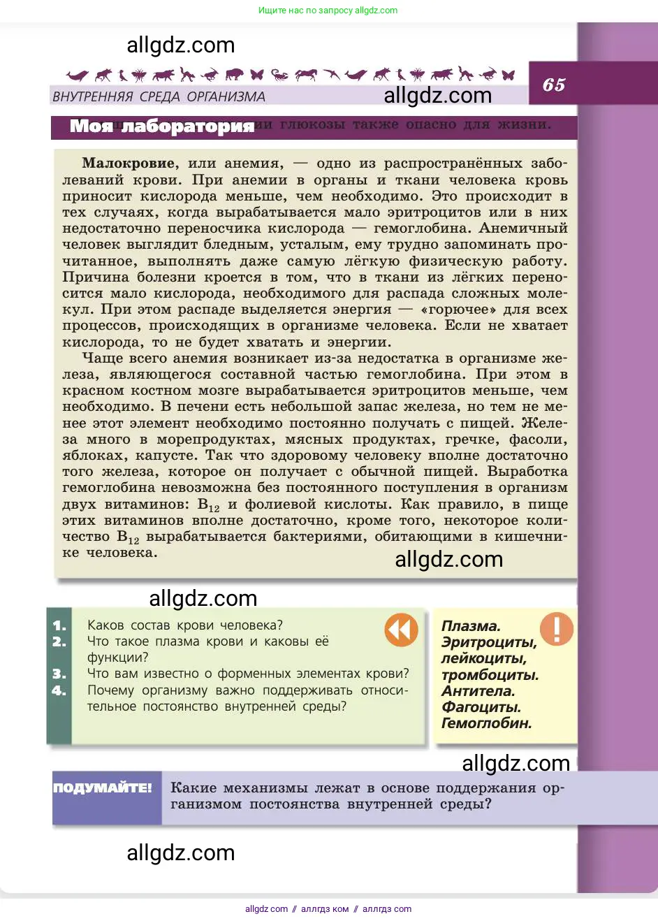 Биология, 8 класс Учебник, авторы: Пасечник Владимир Васильевич, Каменский Андрей Александрович, Швецов Глеб Геннадьевич, издательство Просвещение, Москва, 2019, страница 65