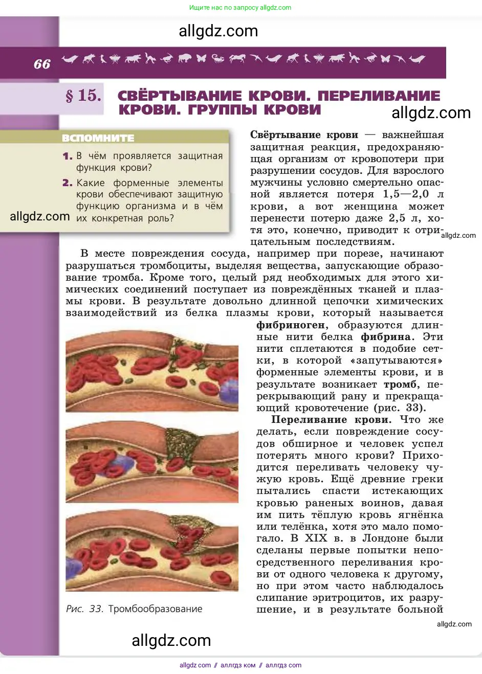 Биология, 8 класс Учебник, авторы: Пасечник Владимир Васильевич, Каменский Андрей Александрович, Швецов Глеб Геннадьевич, издательство Просвещение, Москва, 2019, страница 66