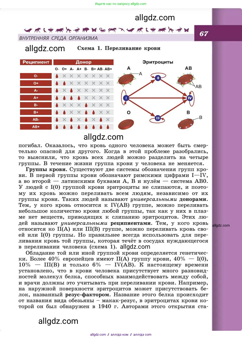Биология, 8 класс Учебник, авторы: Пасечник Владимир Васильевич, Каменский Андрей Александрович, Швецов Глеб Геннадьевич, издательство Просвещение, Москва, 2019, страница 67