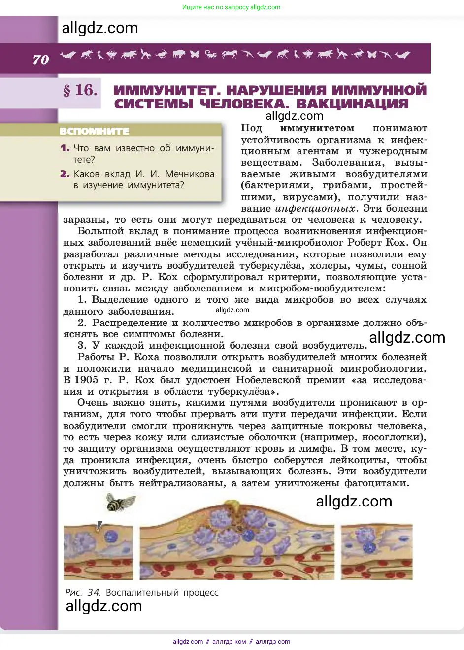 Биология, 8 класс Учебник, авторы: Пасечник Владимир Васильевич, Каменский Андрей Александрович, Швецов Глеб Геннадьевич, издательство Просвещение, Москва, 2019, страница 70