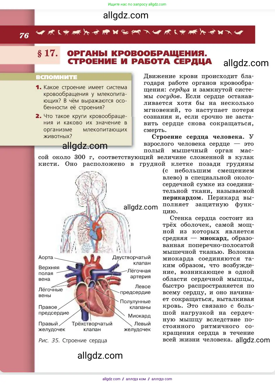 Биология, 8 класс Учебник, авторы: Пасечник Владимир Васильевич, Каменский Андрей Александрович, Швецов Глеб Геннадьевич, издательство Просвещение, Москва, 2019, страница 76