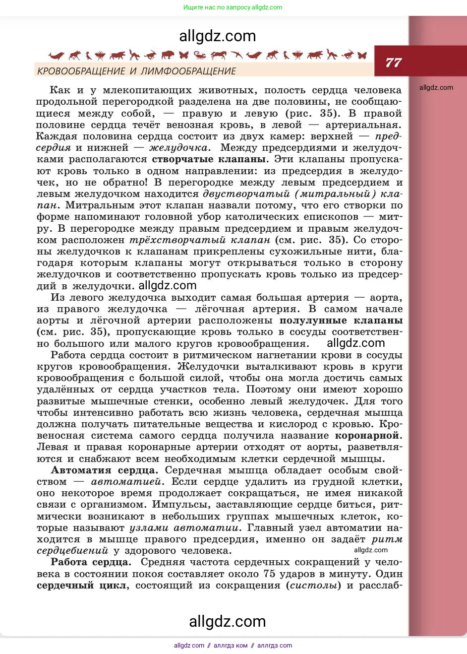 Биология, 8 класс Учебник, авторы: Пасечник Владимир Васильевич, Каменский Андрей Александрович, Швецов Глеб Геннадьевич, издательство Просвещение, Москва, 2019, страница 77