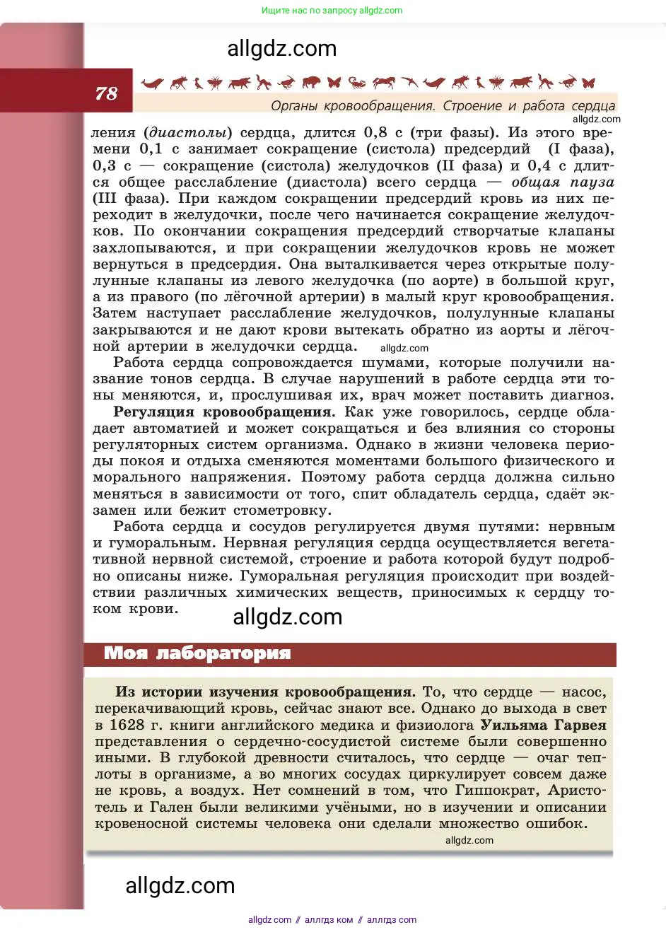 Биология, 8 класс Учебник, авторы: Пасечник Владимир Васильевич, Каменский Андрей Александрович, Швецов Глеб Геннадьевич, издательство Просвещение, Москва, 2019, страница 78