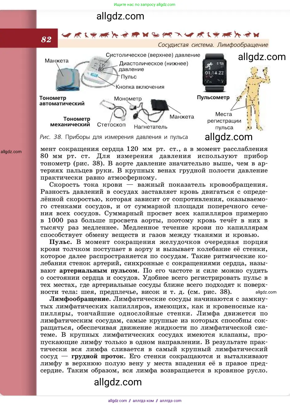 Биология, 8 класс Учебник, авторы: Пасечник Владимир Васильевич, Каменский Андрей Александрович, Швецов Глеб Геннадьевич, издательство Просвещение, Москва, 2019, страница 82