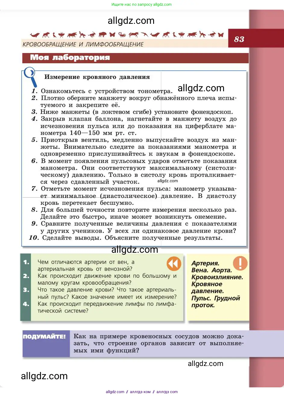 Биология, 8 класс Учебник, авторы: Пасечник Владимир Васильевич, Каменский Андрей Александрович, Швецов Глеб Геннадьевич, издательство Просвещение, Москва, 2019, страница 83