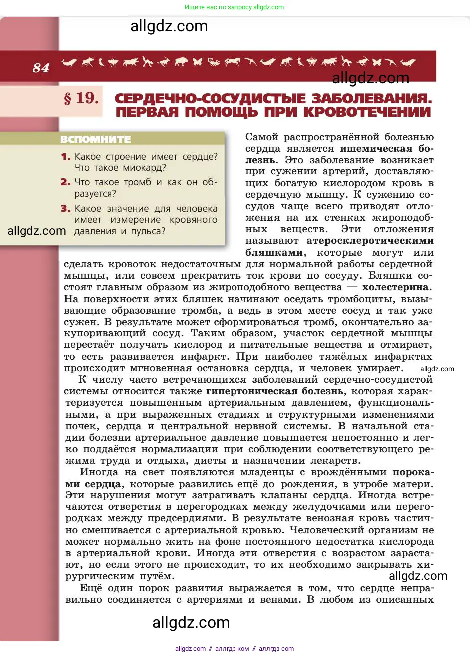 Биология, 8 класс Учебник, авторы: Пасечник Владимир Васильевич, Каменский Андрей Александрович, Швецов Глеб Геннадьевич, издательство Просвещение, Москва, 2019, страница 84