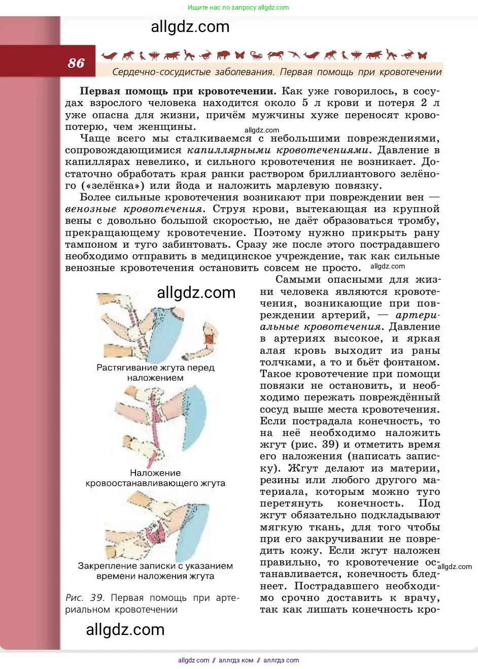 Биология, 8 класс Учебник, авторы: Пасечник Владимир Васильевич, Каменский Андрей Александрович, Швецов Глеб Геннадьевич, издательство Просвещение, Москва, 2019, страница 86