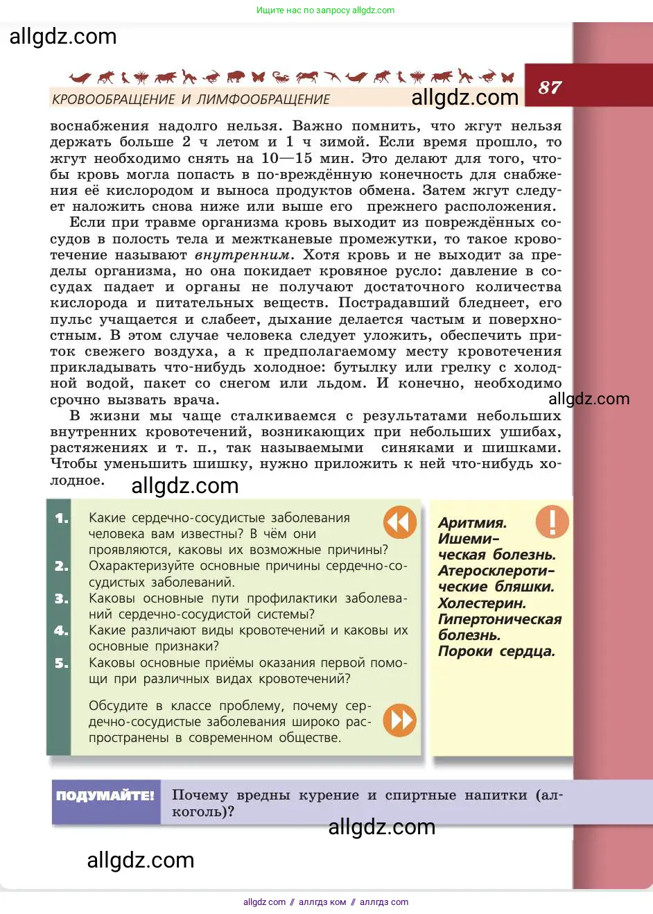 Биология, 8 класс Учебник, авторы: Пасечник Владимир Васильевич, Каменский Андрей Александрович, Швецов Глеб Геннадьевич, издательство Просвещение, Москва, 2019, страница 87