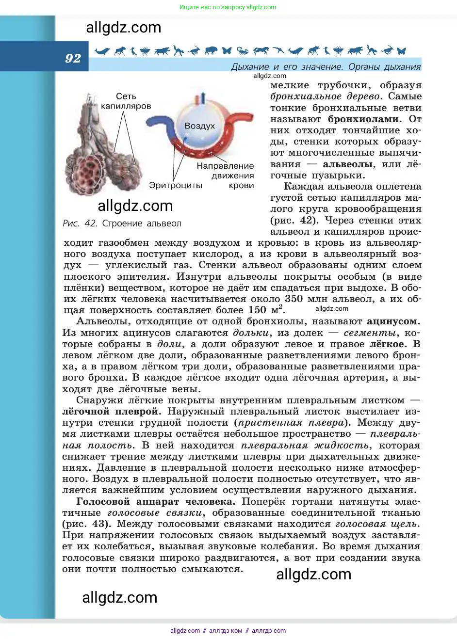 Биология, 8 класс Учебник, авторы: Пасечник Владимир Васильевич, Каменский Андрей Александрович, Швецов Глеб Геннадьевич, издательство Просвещение, Москва, 2019, страница 92