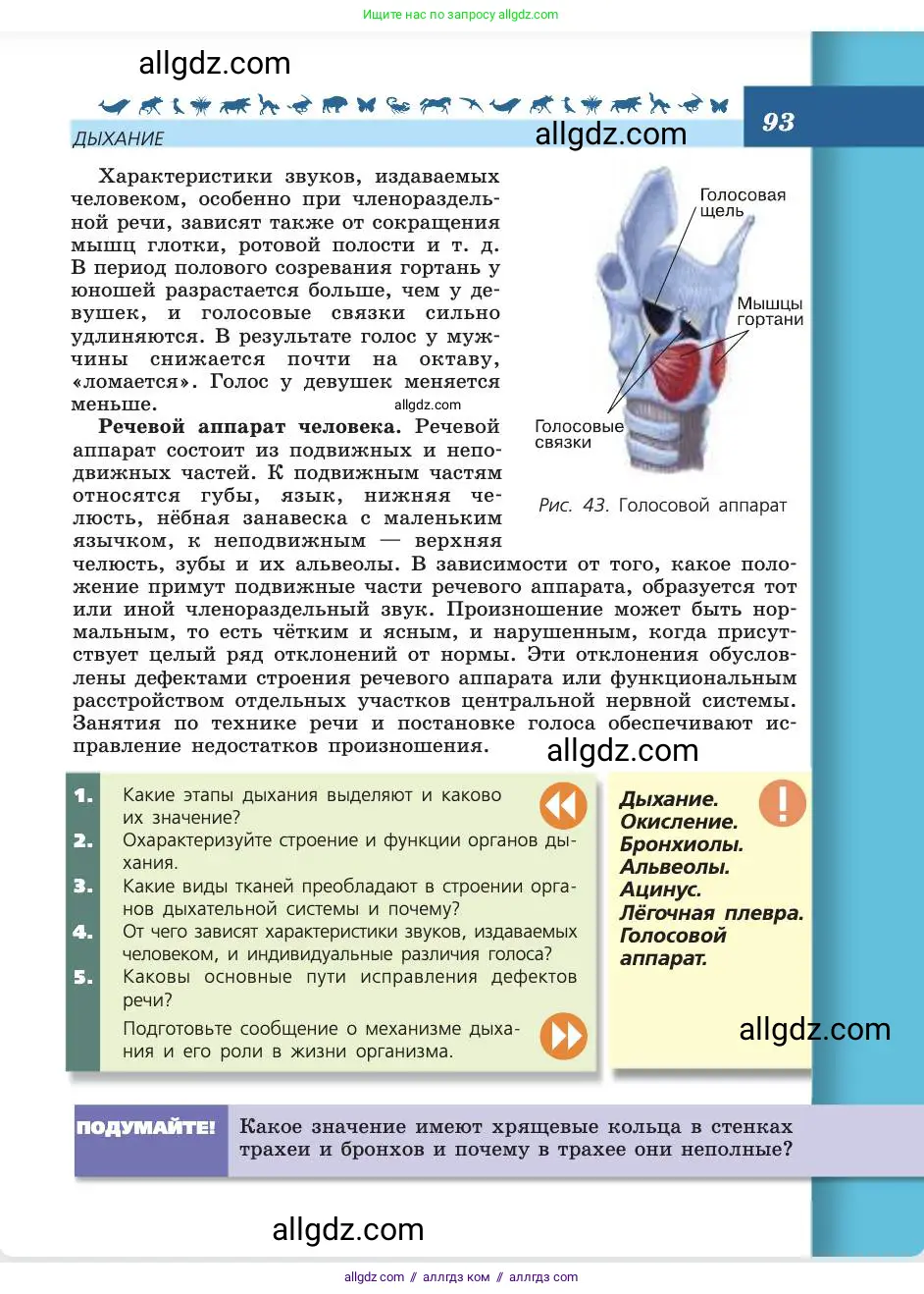 Биология, 8 класс Учебник, авторы: Пасечник Владимир Васильевич, Каменский Андрей Александрович, Швецов Глеб Геннадьевич, издательство Просвещение, Москва, 2019, страница 93