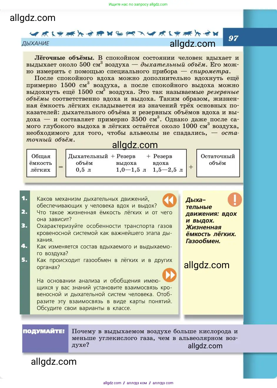 Биология, 8 класс Учебник, авторы: Пасечник Владимир Васильевич, Каменский Андрей Александрович, Швецов Глеб Геннадьевич, издательство Просвещение, Москва, 2019, страница 97