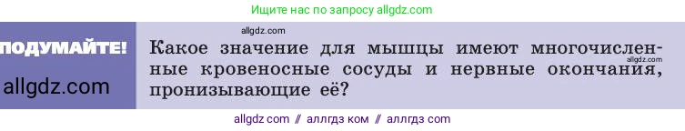 Биология, 8 класс Учебник, авторы: Пасечник Владимир Васильевич, Каменский Андрей Александрович, Швецов Глеб Геннадьевич, издательство Просвещение, Москва, 2019, страница 47, Условие