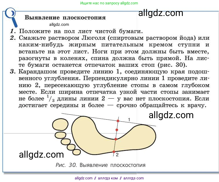 Биология, 8 класс Учебник, авторы: Пасечник Владимир Васильевич, Каменский Андрей Александрович, Швецов Глеб Геннадьевич, издательство Просвещение, Москва, 2019, страница 57, Условие