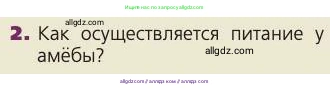 Биология, 8 класс Учебник, авторы: Пасечник Владимир Васильевич, Каменский Андрей Александрович, Швецов Глеб Геннадьевич, издательство Просвещение, Москва, 2019, страница 62, номер 2, Условие