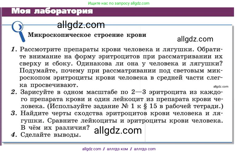 Биология, 8 класс Учебник, авторы: Пасечник Владимир Васильевич, Каменский Андрей Александрович, Швецов Глеб Геннадьевич, издательство Просвещение, Москва, 2019, страница 68, Условие