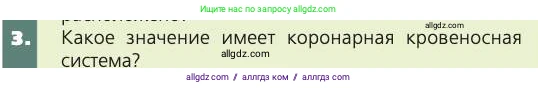 Биология, 8 класс Учебник, авторы: Пасечник Владимир Васильевич, Каменский Андрей Александрович, Швецов Глеб Геннадьевич, издательство Просвещение, Москва, 2019, страница 79, номер 3, Условие