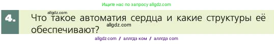 Биология, 8 класс Учебник, авторы: Пасечник Владимир Васильевич, Каменский Андрей Александрович, Швецов Глеб Геннадьевич, издательство Просвещение, Москва, 2019, страница 79, номер 4, Условие