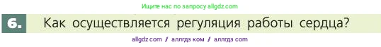 Биология, 8 класс Учебник, авторы: Пасечник Владимир Васильевич, Каменский Андрей Александрович, Швецов Глеб Геннадьевич, издательство Просвещение, Москва, 2019, страница 79, номер 6, Условие