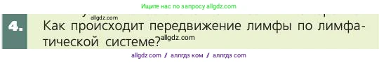 Биология, 8 класс Учебник, авторы: Пасечник Владимир Васильевич, Каменский Андрей Александрович, Швецов Глеб Геннадьевич, издательство Просвещение, Москва, 2019, страница 83, номер 4, Условие