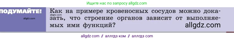 Биология, 8 класс Учебник, авторы: Пасечник Владимир Васильевич, Каменский Андрей Александрович, Швецов Глеб Геннадьевич, издательство Просвещение, Москва, 2019, страница 83, Условие