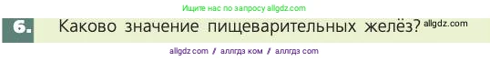 Биология, 8 класс Учебник, авторы: Пасечник Владимир Васильевич, Каменский Андрей Александрович, Швецов Глеб Геннадьевич, издательство Просвещение, Москва, 2019, страница 113, номер 6, Условие