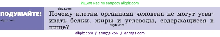 Биология, 8 класс Учебник, авторы: Пасечник Владимир Васильевич, Каменский Андрей Александрович, Швецов Глеб Геннадьевич, издательство Просвещение, Москва, 2019, страница 113, Условие