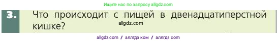 Биология, 8 класс Учебник, авторы: Пасечник Владимир Васильевич, Каменский Андрей Александрович, Швецов Глеб Геннадьевич, издательство Просвещение, Москва, 2019, страница 121, номер 3, Условие