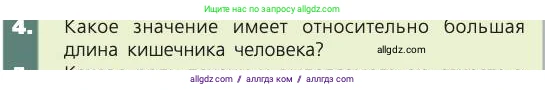Биология, 8 класс Учебник, авторы: Пасечник Владимир Васильевич, Каменский Андрей Александрович, Швецов Глеб Геннадьевич, издательство Просвещение, Москва, 2019, страница 121, номер 4, Условие