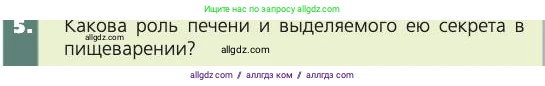 Биология, 8 класс Учебник, авторы: Пасечник Владимир Васильевич, Каменский Андрей Александрович, Швецов Глеб Геннадьевич, издательство Просвещение, Москва, 2019, страница 121, номер 5, Условие