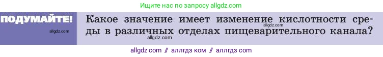 Биология, 8 класс Учебник, авторы: Пасечник Владимир Васильевич, Каменский Андрей Александрович, Швецов Глеб Геннадьевич, издательство Просвещение, Москва, 2019, страница 121, Условие