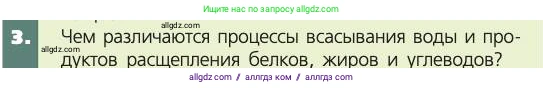 Биология, 8 класс Учебник, авторы: Пасечник Владимир Васильевич, Каменский Андрей Александрович, Швецов Глеб Геннадьевич, издательство Просвещение, Москва, 2019, страница 125, номер 3, Условие