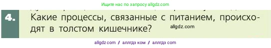 Биология, 8 класс Учебник, авторы: Пасечник Владимир Васильевич, Каменский Андрей Александрович, Швецов Глеб Геннадьевич, издательство Просвещение, Москва, 2019, страница 125, номер 4, Условие