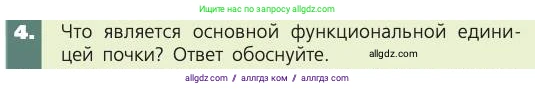 Биология, 8 класс Учебник, авторы: Пасечник Владимир Васильевич, Каменский Андрей Александрович, Швецов Глеб Геннадьевич, издательство Просвещение, Москва, 2019, страница 153, номер 4, Условие