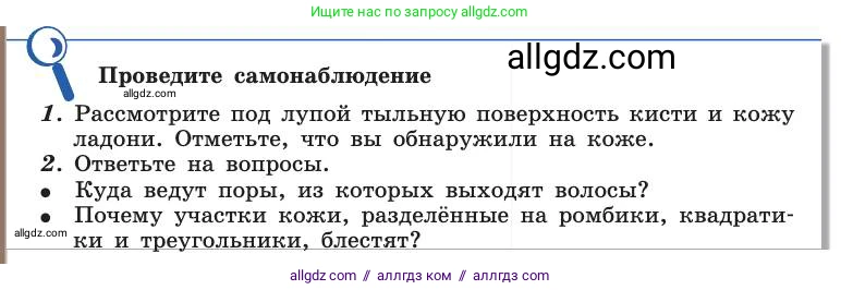 Биология, 8 класс Учебник, авторы: Пасечник Владимир Васильевич, Каменский Андрей Александрович, Швецов Глеб Геннадьевич, издательство Просвещение, Москва, 2019, страница 160, Условие