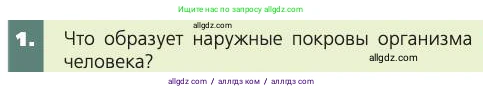 Биология, 8 класс Учебник, авторы: Пасечник Владимир Васильевич, Каменский Андрей Александрович, Швецов Глеб Геннадьевич, издательство Просвещение, Москва, 2019, страница 161, номер 1, Условие