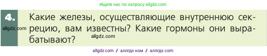 Биология, 8 класс Учебник, авторы: Пасечник Владимир Васильевич, Каменский Андрей Александрович, Швецов Глеб Геннадьевич, издательство Просвещение, Москва, 2019, страница 175, номер 4, Условие